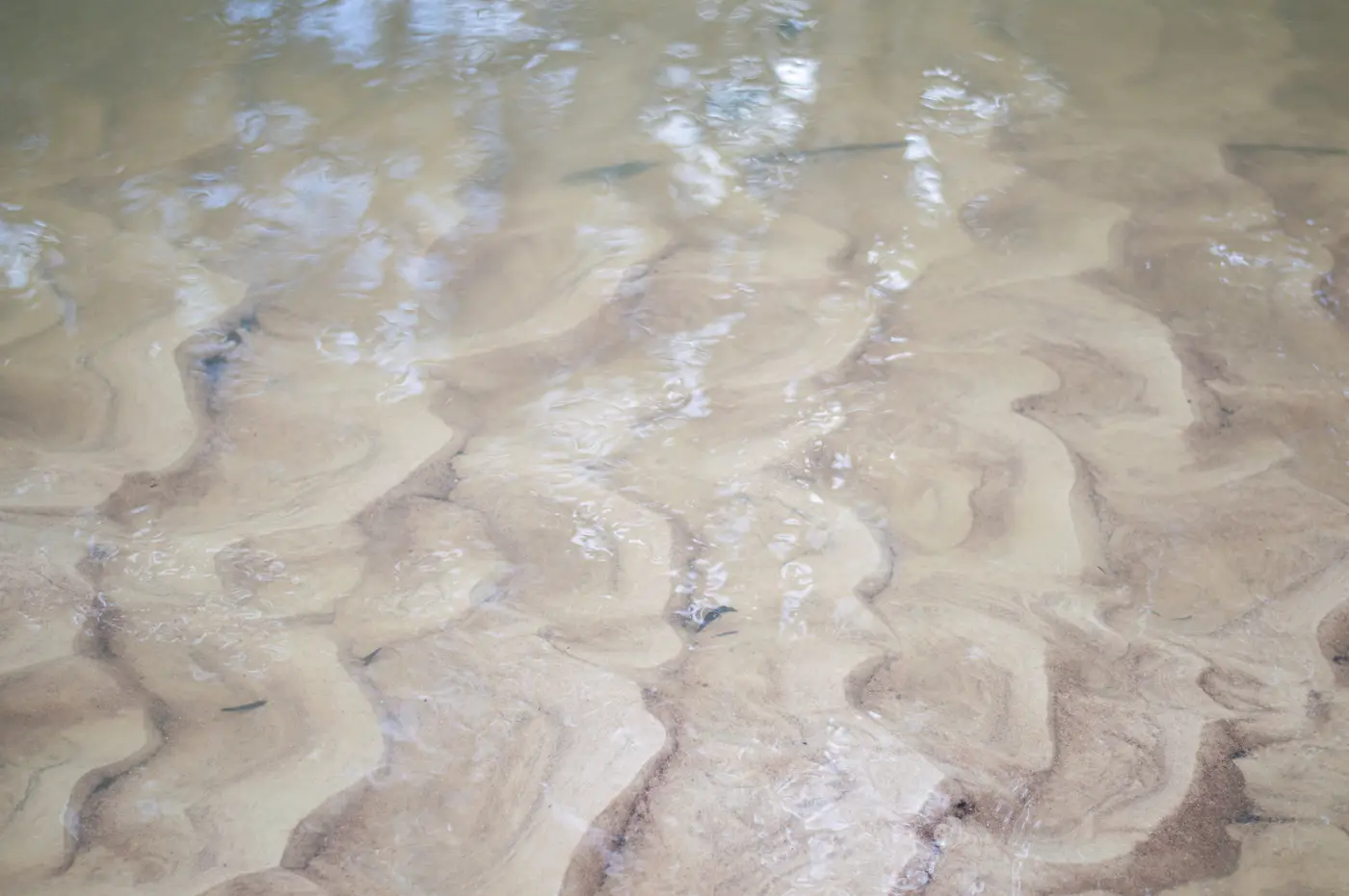 Прозрачная вода в реке Ислочь