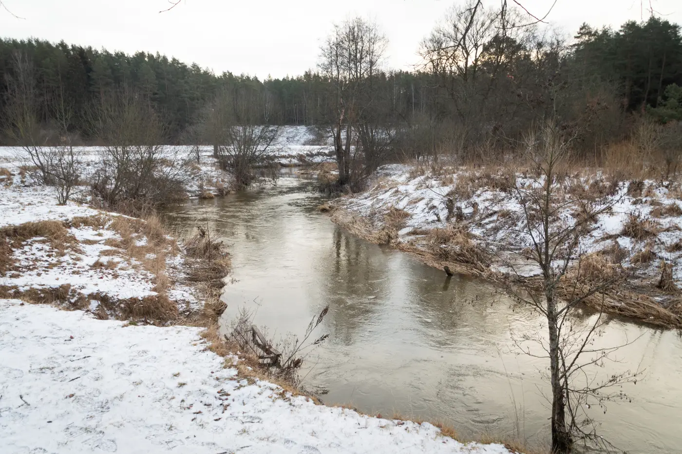 Река Ислочь зимой