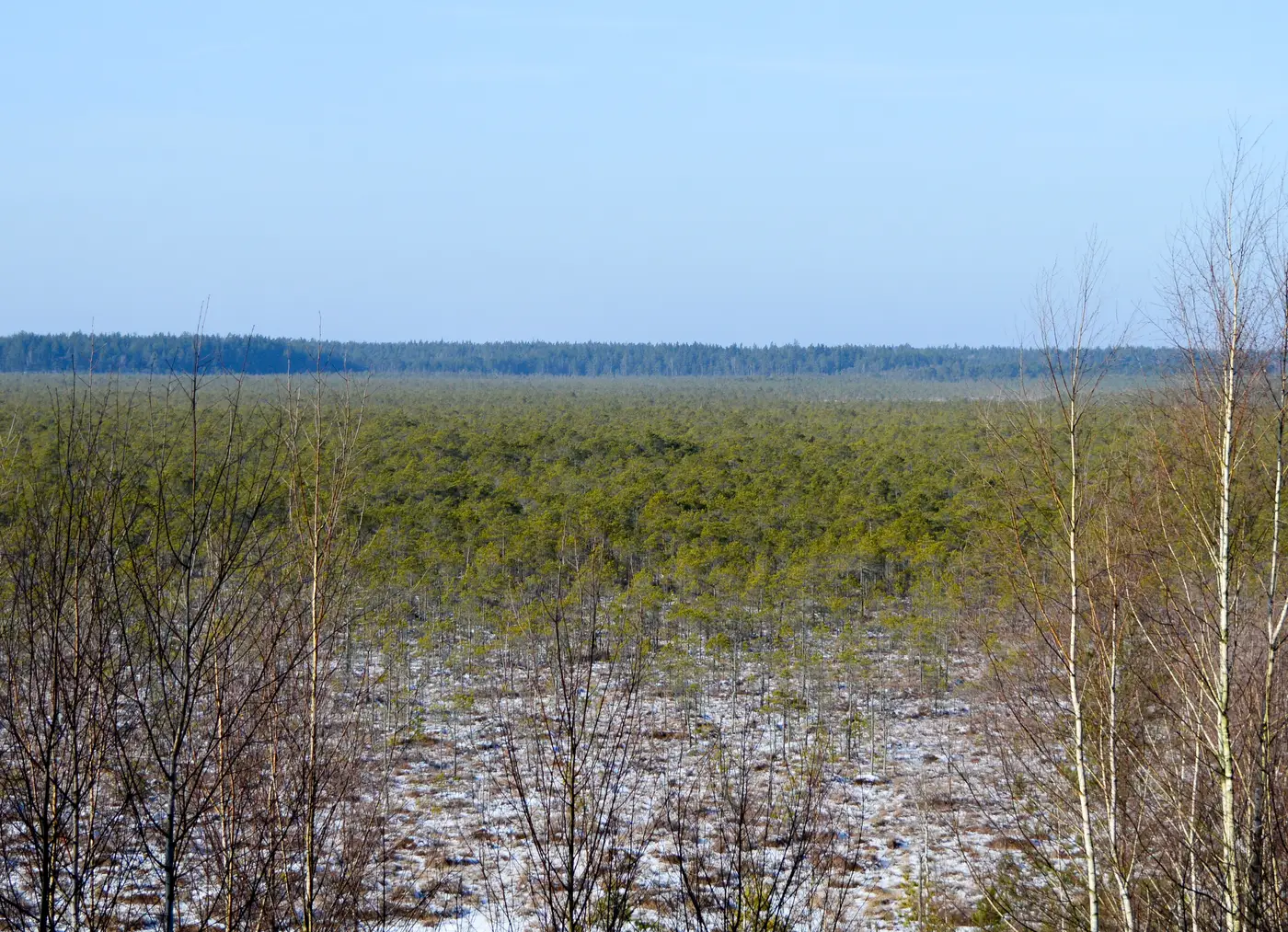 Березенский биосферный заповедник болото