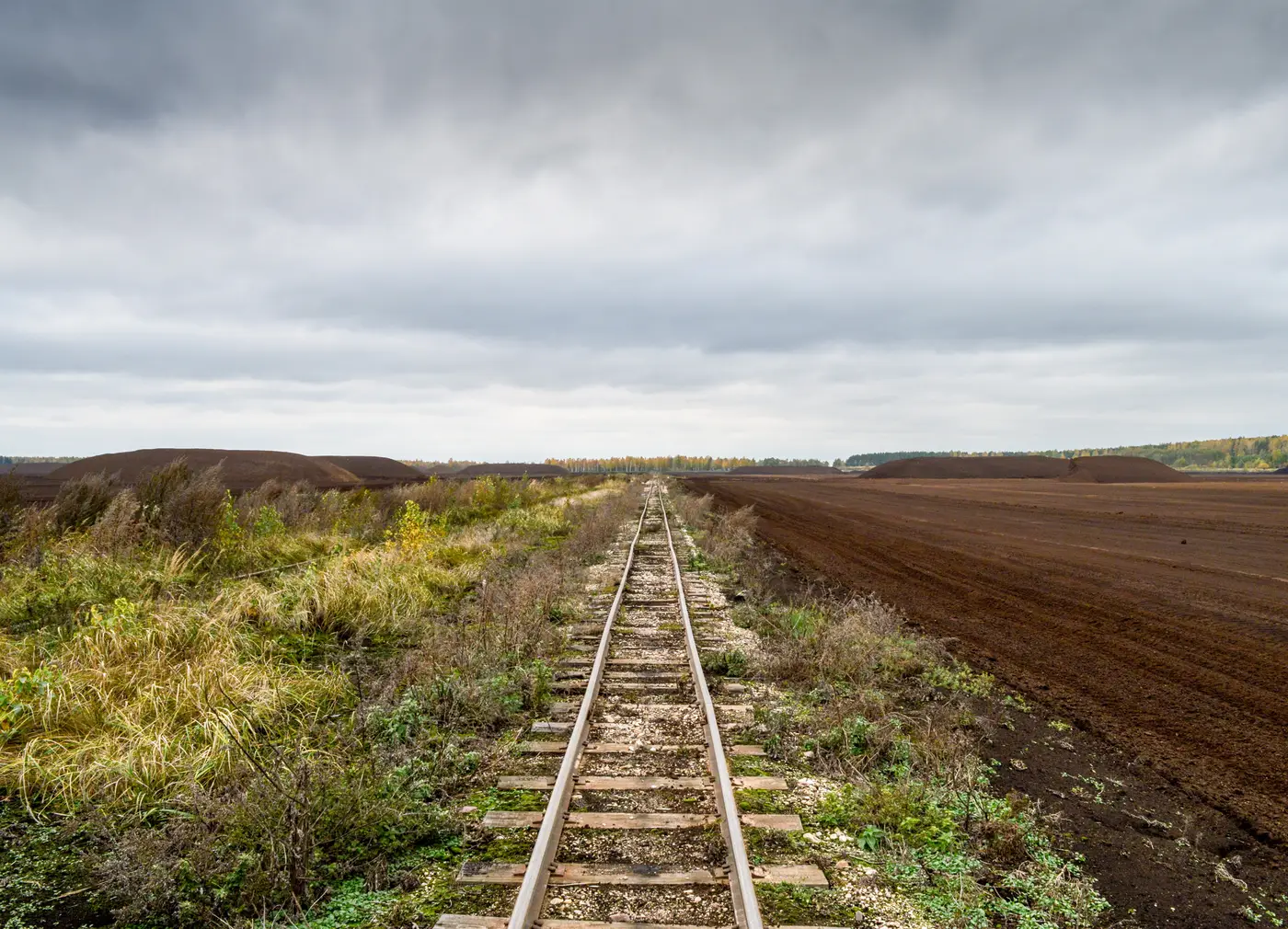 Узкоколейная железная дорога в Беларуси