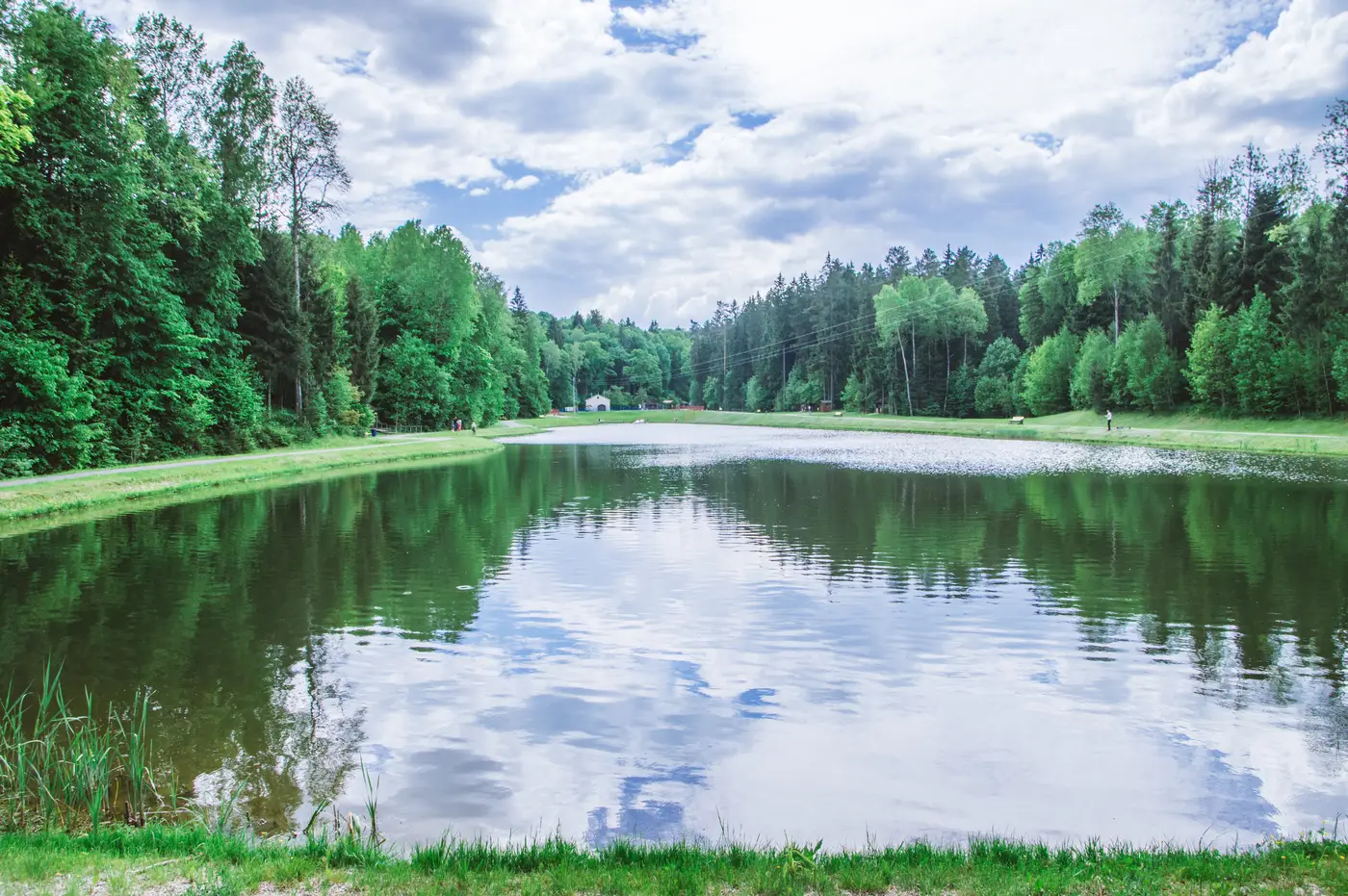 Лесное озеро в Силичах. Фото 1