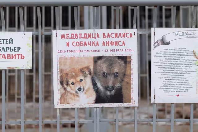Центр экологического туризма "Станьково" - фото 4