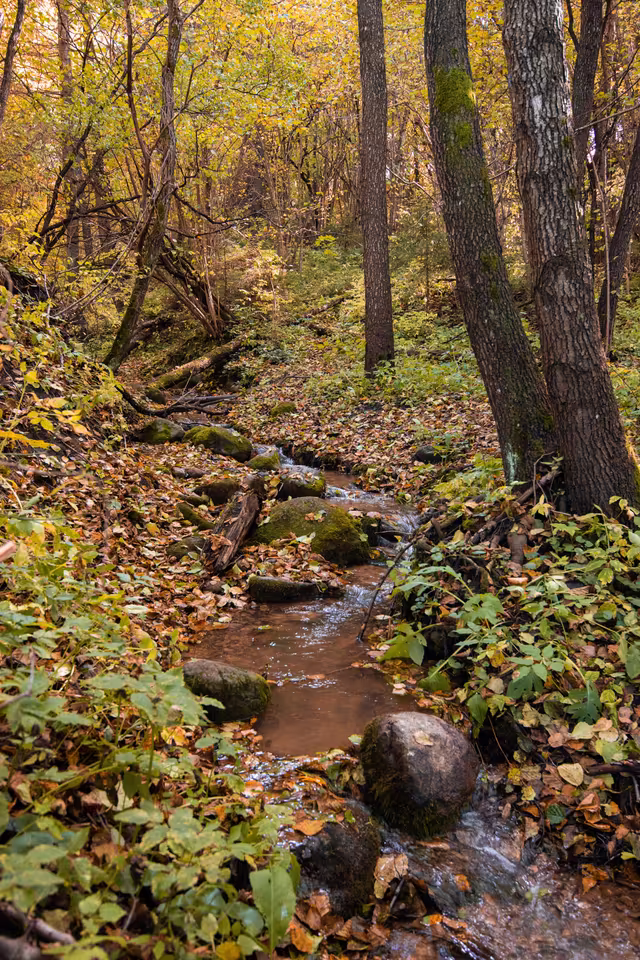 Юцковский родник осенью, фото 8